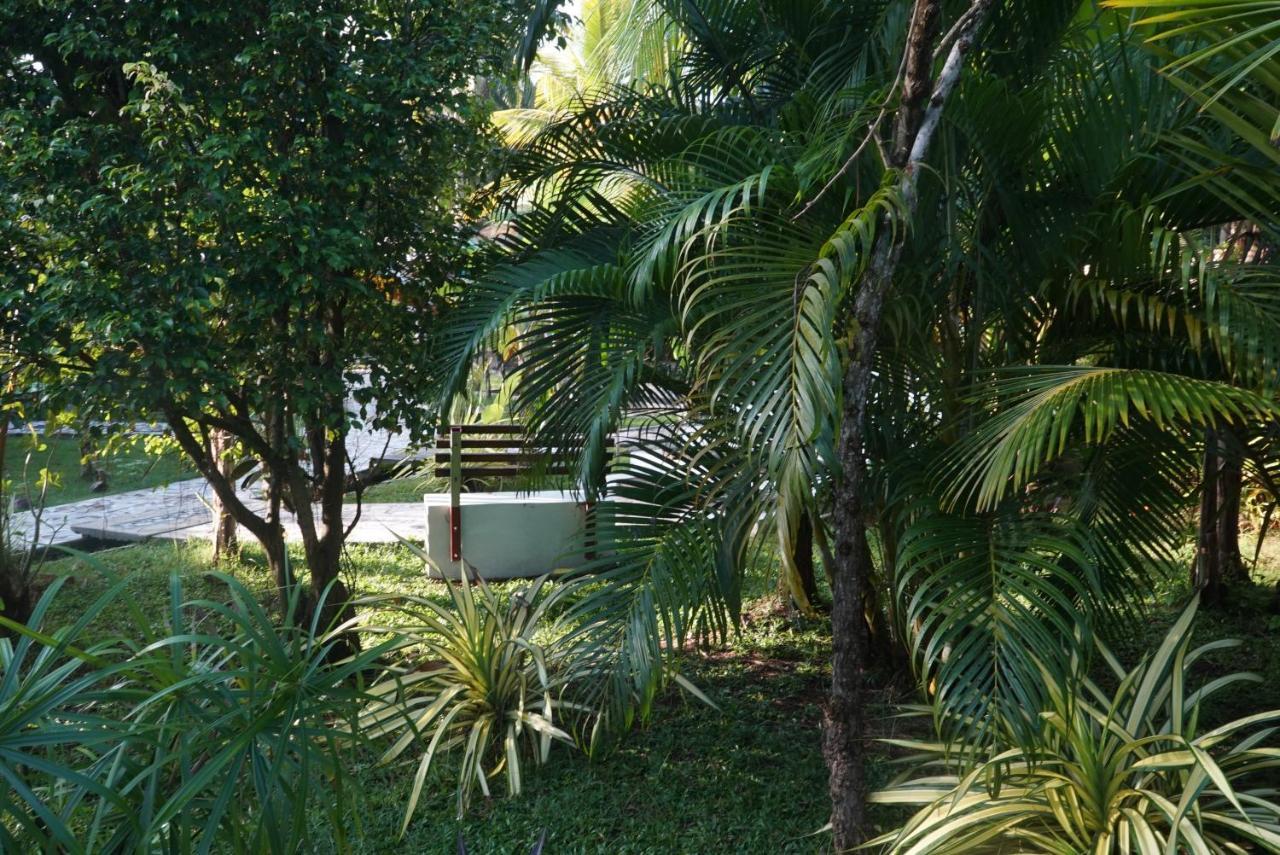 Red Coconut Villa Bentota Eksteriør billede