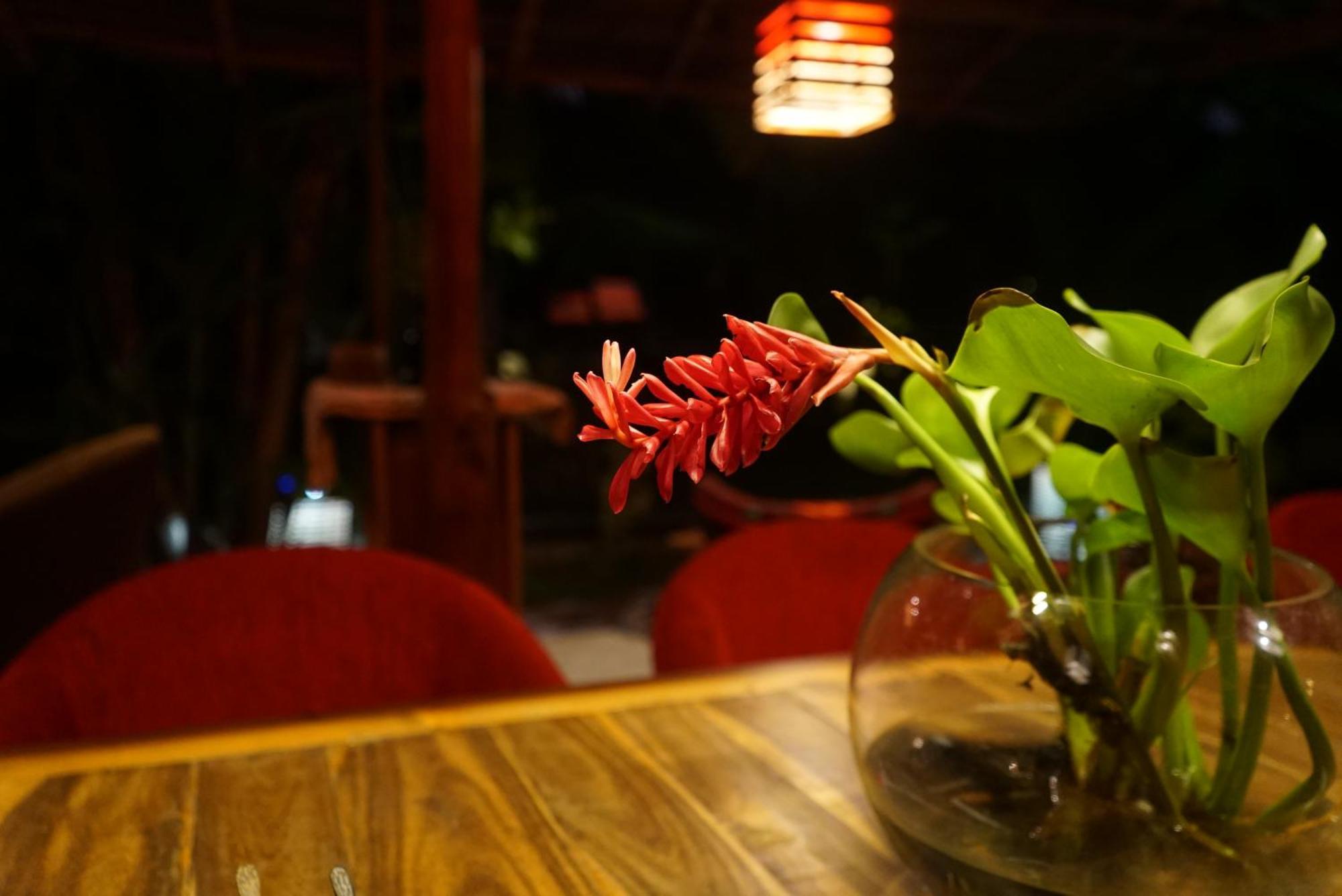 Red Coconut Villa Bentota Eksteriør billede